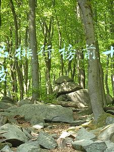 护肤品排行榜前十名适合25岁