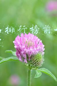 护肤品排行榜前十名适合25岁 护肤品排行榜前十名适合25岁