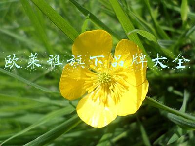 欧莱雅旗下品牌大全