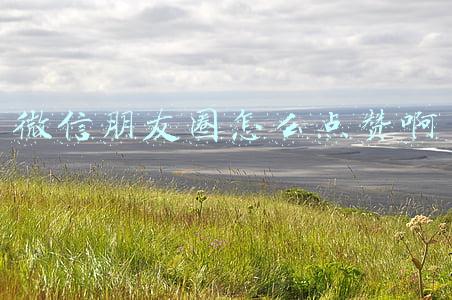 微信朋友圈怎么点赞啊