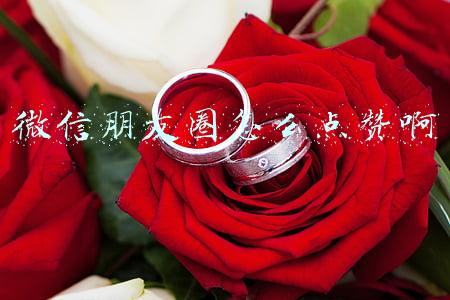 微信朋友圈怎么点赞啊
