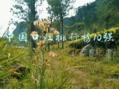 中国口红排行榜10强