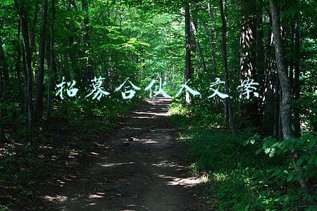 招募合伙人文案