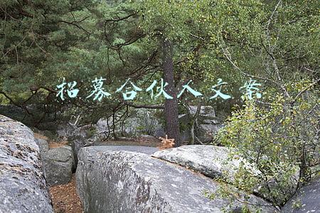 招募合伙人文案