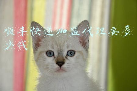 顺丰快递加盟代理要多少钱