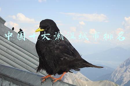 中国十大潮湿城市排名
