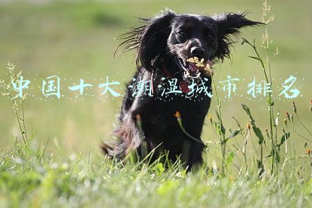 中国十大潮湿城市排名