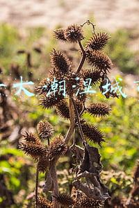 中国十大潮湿城市排名