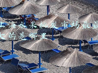 上海水果批发市场最最大的是哪里