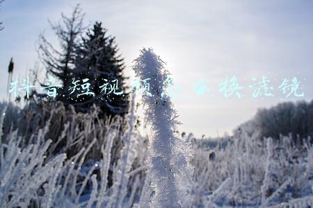 抖音短视频怎么换滤镜 抖音短视频怎么换滤镜