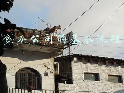 创办公司的基本流程