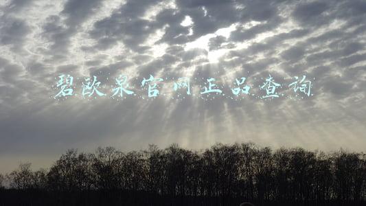 碧欧泉官网正品查询