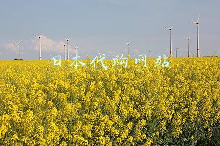 日本代购网站