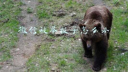 微信被举报了怎么办