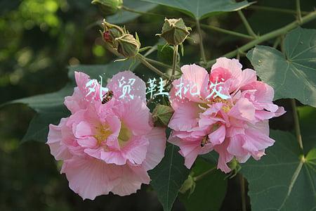 外贸鞋批发拿货(揭秘外贸商品进货方法)
