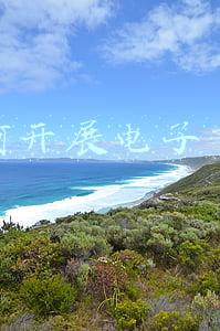 如何开展电子商务工作(浅析电子商务的发展，就业与存在相应法律规制)