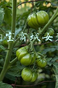 淘宝商城女装