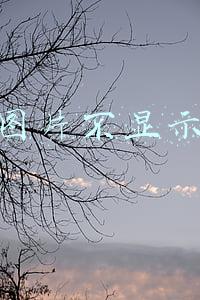 图片不显示