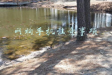 网购手机注意事项