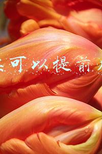 汽车票可以提前几天买