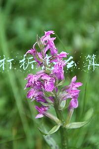 打折怎么算