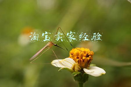 淘宝卖家经验