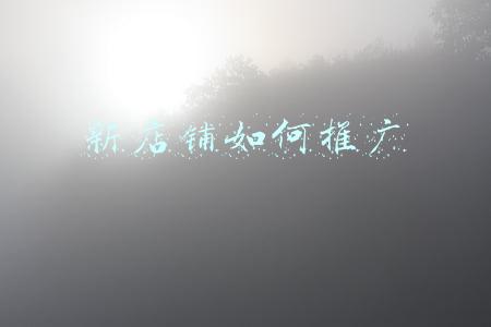 淘宝新店铺如何推广(新开的店铺在淘宝怎么推广？具体都有哪些技巧？)