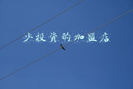 少投资的加盟店