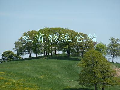 电商仓储物流(社区电商平台首获国内物流业最高奖)