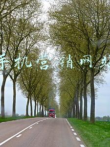 手机营销网站