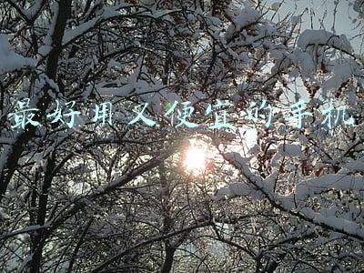 最好用又便宜的手机