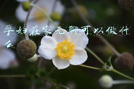 孕妇在家无聊可以做什么