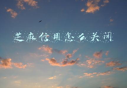 芝麻信用怎么关闭