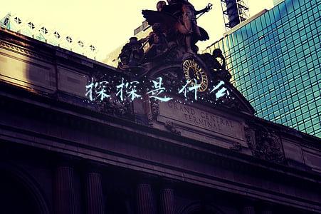 探探是什么软件(探探这样的社交软件谈对象交友靠谱吗)