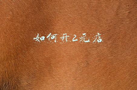 如何开2元店