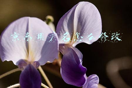 京东如何更改用户名(关于我前面说的“京东随意修改用户信息”一事京东的回复)