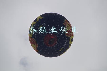 养殖业项目