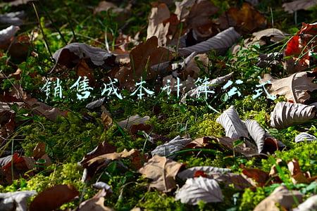 本期销售成本计算公式(利润的计算方法)