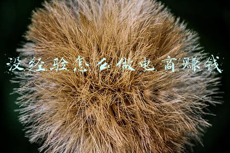 没经验怎么做电商赚钱