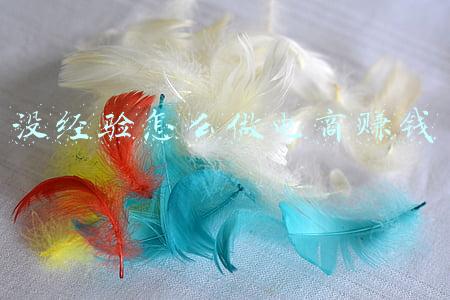 没经验怎么做电商赚钱