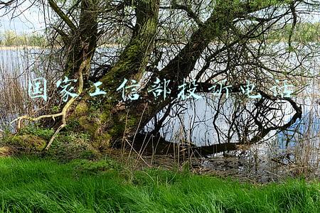 国家工信部投诉电话