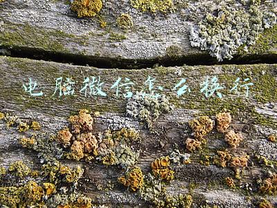 电脑微信怎么换行