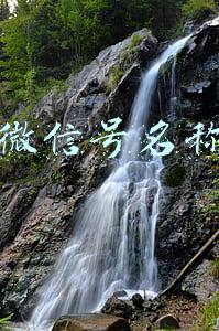 微信号名称