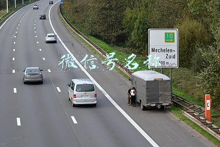 微信号名称