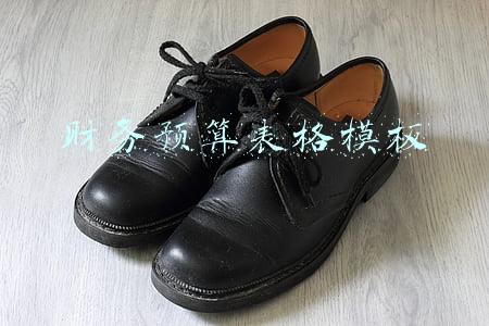 财务预算表格模板