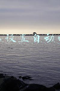 怎么设置自动回复