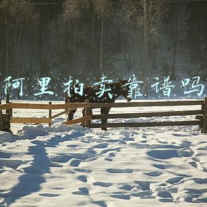 阿里拍卖靠谱吗