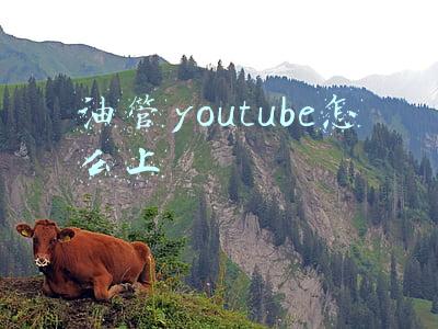 油管youtube怎么上