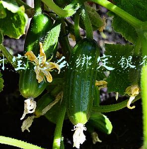支付宝怎么绑定银行卡