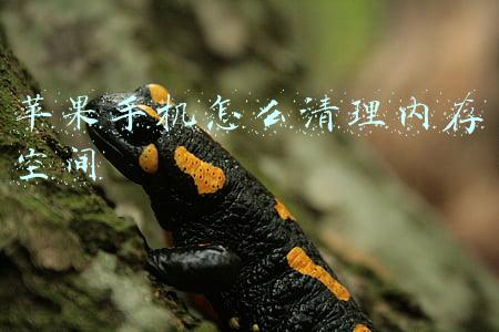 苹果手机怎么清理内存空间